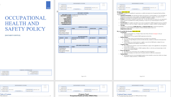 ISO Policy Templates example